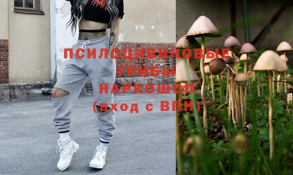 трава Алзамай